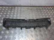 Vorderer oberer Gitter JAGUAR XF (X250) 5.0 CX2317K945A