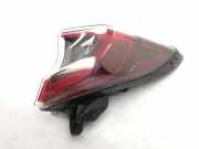 Lampenträger Heckleuchte rechts Toyota C-HR (X1) 81550F4031