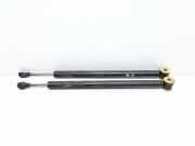 Heckklappe Gasdruckfeder links MERCEDES-BENZ S (W221) S 350 (221.056, 221.156) A2217300016