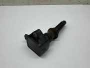 Zündspule JAGUAR F-PACE (X761) 2.0 AWD H4P312A366BB