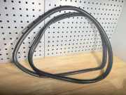 Türdichtung BMW X5 (E70) 7234931