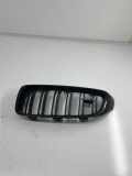 Vorderer oberer Gitter BMW 4 Coupe (F32, F82) M4 8068583