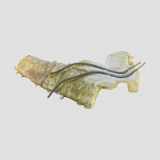 Fensterwaschtank FORD FOCUS C-MAX 1.8 TDCi 4M5113K163