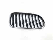 Kühlergrill komplett BMW Z4 Coupe (E86) 51137051960