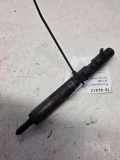 Einspritzdüse RENAULT CLIO II (BB0/1/2_, CB0/1/2_) 1.5 dCi (B/CB07) 28232242