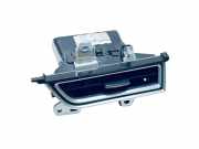 Frischluftgrill TESLA MODEL X 90D AWD 109688000A