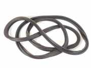 Türdichtung Mercedes-Benz M-Klasse (W166) A1667400178