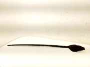 Vertikale Verkleidung auf der linken Seite der Windschutzscheibe TOYOTA C-HR (_X1_) 1.8 Hybrid (ZYX10_)