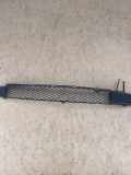 Gitter vorne unten MERCEDES-BENZ A (W168) A 170 CDI (168.009, 168.109) 1686851423