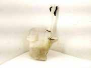 Behälter Scheibenwaschanlage Ford Kuga II (DM2) CJ5417664AA