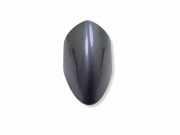 TÜRGRIFFKAPPE TÜRGRIFFBLENDE HINTEN OPEL INSIGNIA A (G09) 1.6 SIDI (68) PL6051