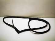 Türgummi rechts hinten Chrysler 300 C Touring (LX, LE)