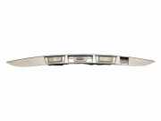 Kennzeichenbeleuchtung RENAULT GRAND SCÉNIC III (JZ0/1_) 1.5 dCi 848100006R