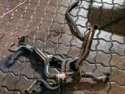 Schlauch Kühlung RENAULT LAGUNA Coupe (DT0/1) 2.0 dCi 1800419215