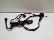 Kabel Tür Audi Q3 (8U) 8U0971687B