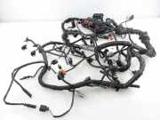 Motor Kabelbaum AUDI Q5 (8R) 3.0 TDI quattro