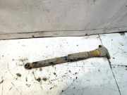 Stoßdämpfer hinten links AUDI A4 (8EC, B7) 2.0 TDI