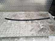 Dachleiste links JAGUAR XF (X250) 2.2 D