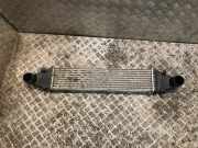 Ladeluftkühler Mercedes-Benz C-Klasse (W204) 2045000100