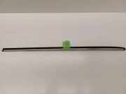 Kotflügelzierleiste hinten links