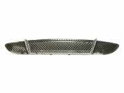 Gitter vorne unten BMW 1 (E87) 118 d 7131690