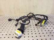Kabel Tür Opel Antara (L07) 95491036