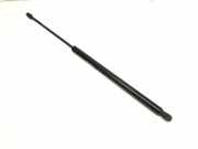 Heckklappe Gasdruckfeder links LAND ROVER RANGE ROVER SPORT (L320) 2.7 D 4x4 BHE790053