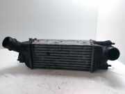 Ladeluftkühler Peugeot 407 SW () 9645682880