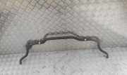 Stabilisator vorne Opel Antara (L07)