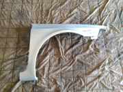 Kotflügel vorne rechts RENAULT LAGUNA II Grandtour (KG0/1_) 1.9 dCi (KG0G)