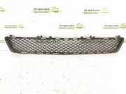 Gitter vorne unten MERCEDES-BENZ E (W212) E 350 CDI 4-matic (212.093) 2128850523 A2128850523