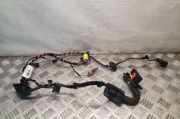 Kabel Tür VW Tiguan I (5N) 5N2971121