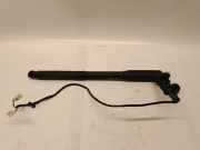 Heckklappe Gasdruckfeder rechts BMW X5 (E70) xDrive 40 d 728611602