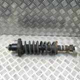 Stoßdämpfer hinten rechts MITSUBISHI OUTLANDER III (GG_W, GF_W, ZJ) 2.4 Hybrid 4WD (GG3W) 4162A492