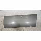 Türleiste hinten links MERCEDES-BENZ S (W220) S 55 AMG (220.073, 220.173) 1406901140