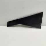 Vertikale Verkleidung an der hinteren linken Tür HYUNDAI SANTA FÉ IV (TM) 2.2 CRDi AWD 83270S1000 83270-S1000