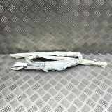 Airbag Dach links Citroen C4 Cactus () 9804358980