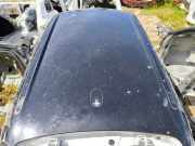 Dach mit Sonnendachausschnitt Mini Mini Countryman (R60)