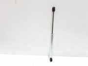 Heckklappe Gasdruckfeder links AUDI A8 D3 (4E2, 4E8) 4.0 TDI quattro