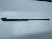 Heckklappe Gasdruckfeder links BMW X1 (E84) sDrive 16 i 2990136
