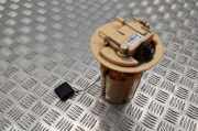 Kraftstoffpumpe Citroen DS5 () 9684995280