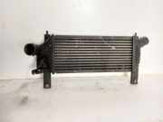 Ladeluftkühler NISSAN PATHFINDER III (R51) 2.5 dCi 4WD 14461EB360