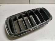Vorderer oberer Gitter BMW X5 (F15, F85) xDrive 40 d 7316075
