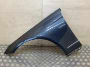 Kotflügel vorne links