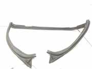 Schiebetür-Dichtungsgummi VOLVO C70 II Cabrio T5 30787066