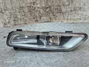 Nebelscheinwerfer links VW PASSAT B7 (362) 2.0 TDI 176623
