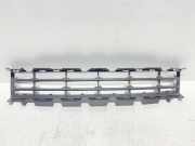 Kühlergrill unten Renault Megane II (BM/CM) 8200114155