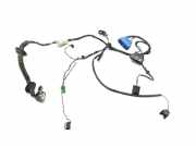 Türverkabelung hinten rechts JAGUAR XJ (X308) 3.2 LNA3862JA LNC3190HE