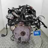 Motor ohne Anbauteile (Benzin) Land Rover Range Rover Evoque I (L538) 204DTD