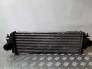 Ladeluftkühler Renault Trafic II Kasten (FL) 7700312903